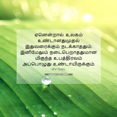 Picture 07 - மத்தேயு 24:21 TAMIRV - ஏனென்றால், உலகம் - Bible Verse Picture