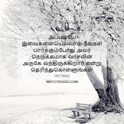 Picture 07 - மத்தேயு 24:33 TAMIRV - அப்படியே - Bible Verse Picture