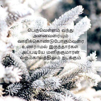 Picture 07 - மத்தேயு 24:39 TAMIRV - பெருவெள்ளம் வந்து - Bible Verse Picture