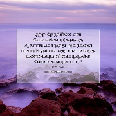 Picture 07 - மத்தேயு 24:45 TAMIRV - ஏற்ற நேரத்திலே - Bible Verse Picture
