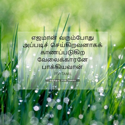 Picture 07 - மத்தேயு 24:46 TAMIRV - எஜமான் வரும்போது - Bible Verse Picture