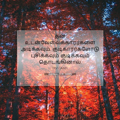 Picture 07 - மத்தேயு 24:49 TAMIRV - தன் - Bible Verse Picture