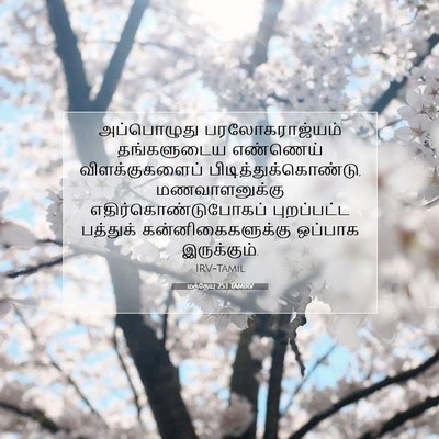 Picture 07 - மத்தேயு 25:1 TAMIRV - அப்பொழுது - Bible Verse Picture