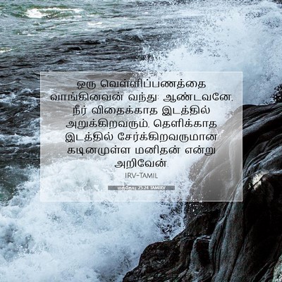 Picture 07 - மத்தேயு 25:24 TAMIRV - ஒரு - Bible Verse Picture