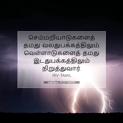 Picture 07 - மத்தேயு 25:33 TAMIRV - செம்மறியாடுகளைத் - Bible Verse Picture