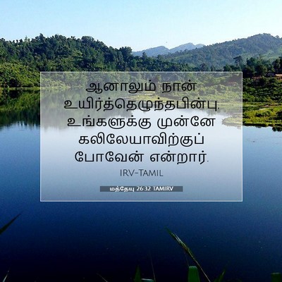 Picture 07 - மத்தேயு 26:32 TAMIRV - ஆனாலும் நான் - Bible Verse Picture