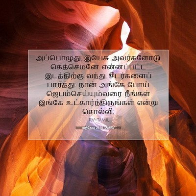 Picture 07 - மத்தேயு 26:36 TAMIRV - அப்பொழுது, இயேசு - Bible Verse Picture