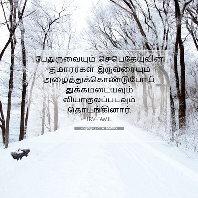 Picture 07 - மத்தேயு 26:37 TAMIRV - பேதுருவையும் - Bible Verse Picture