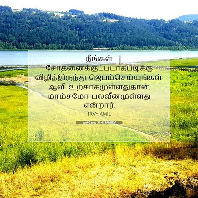 Picture 07 - மத்தேயு 26:41 TAMIRV - நீங்கள் - Bible Verse Picture