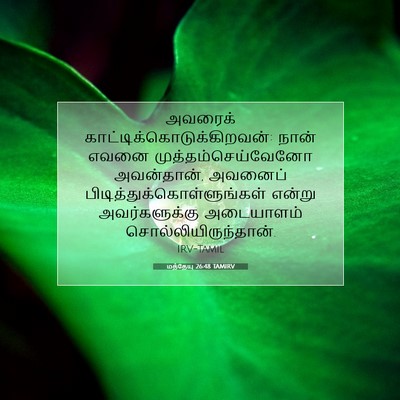 Picture 07 - மத்தேயு 26:48 TAMIRV - அவரைக் - Bible Verse Picture
