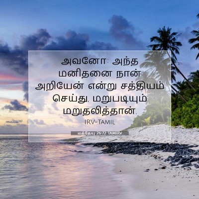 Picture 07 - மத்தேயு 26:72 TAMIRV - அவனோ: அந்த மனிதனை - Bible Verse Picture