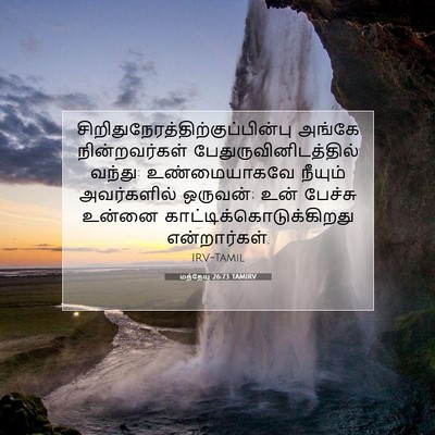 Picture 07 - மத்தேயு 26:73 TAMIRV -  - Bible Verse Picture