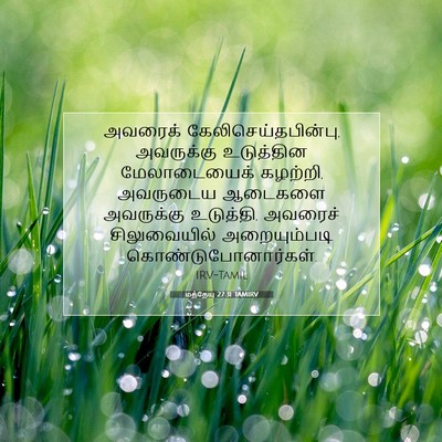 Picture 07 - மத்தேயு 27:31 TAMIRV - அவரைக் - Bible Verse Picture