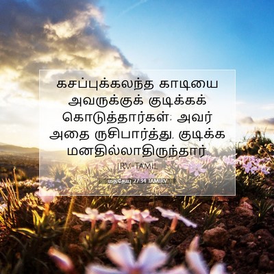 Picture 07 - மத்தேயு 27:34 TAMIRV - கசப்புக்கலந்த - Bible Verse Picture