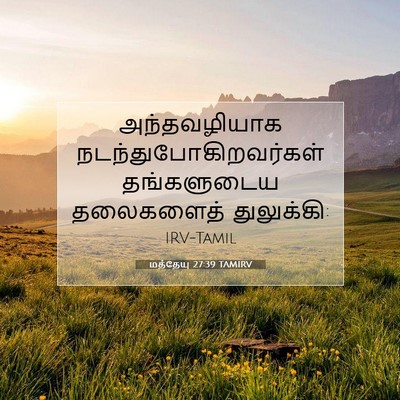 Picture 07 - மத்தேயு 27:39 TAMIRV - அந்தவழியாக - Bible Verse Picture