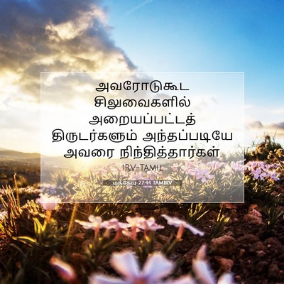 Picture 07 - மத்தேயு 27:44 TAMIRV - அவரோடுகூட - Bible Verse Picture