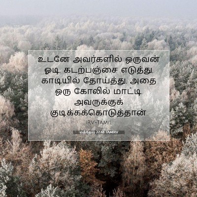 Picture 07 - மத்தேயு 27:48 TAMIRV - உடனே அவர்களில் - Bible Verse Picture
