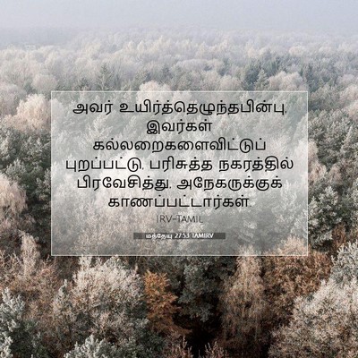 Picture 07 - மத்தேயு 27:53 TAMIRV - அவர் - Bible Verse Picture