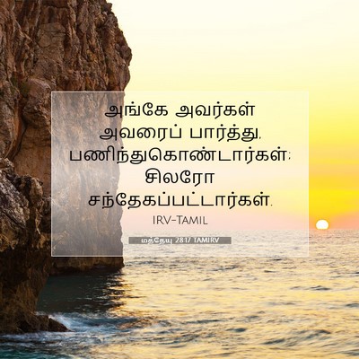 Picture 07 - மத்தேயு 28:17 TAMIRV - அங்கே அவர்கள் - Bible Verse Picture