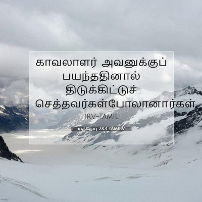 Picture 07 - மத்தேயு 28:4 TAMIRV - காவலாளர் - Bible Verse Picture