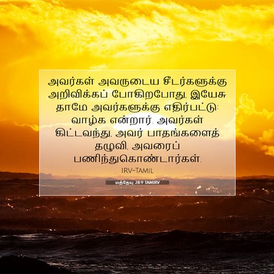 Picture 07 - மத்தேயு 28:9 TAMIRV - அவர்கள் அவருடைய - Bible Verse Picture
