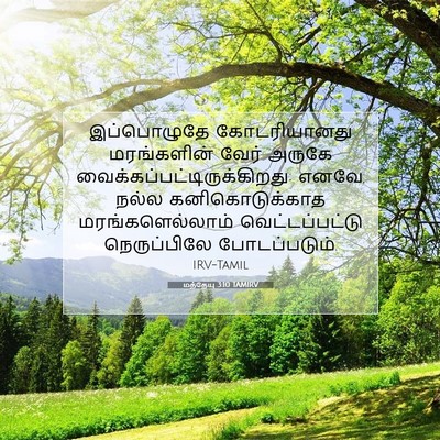 Picture 07 - மத்தேயு 3:10 TAMIRV - இப்பொழுதே - Bible Verse Picture
