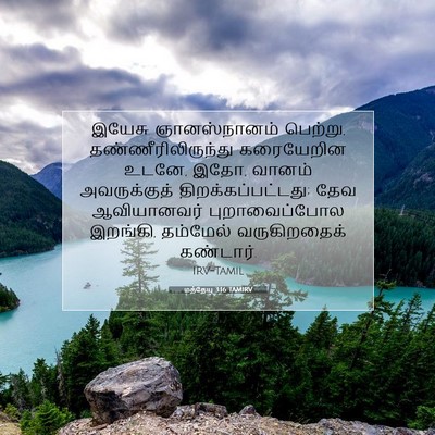 Picture 07 - மத்தேயு 3:16 TAMIRV - இயேசு ஞானஸ்நானம் - Bible Verse Picture