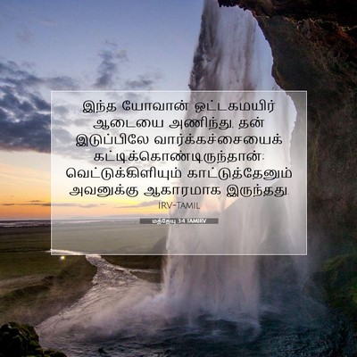 Picture 07 - மத்தேயு 3:4 TAMIRV - இந்த யோவான் - Bible Verse Picture