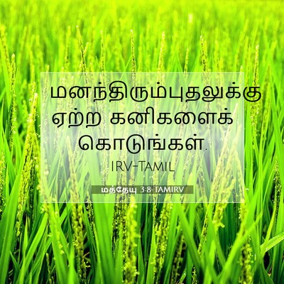 Picture 07 - மத்தேயு 3:8 TAMIRV -  - Bible Verse Picture