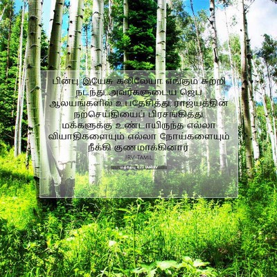 Picture 07 - மத்தேயு 4:23 TAMIRV - பின்பு, இயேசு - Bible Verse Picture