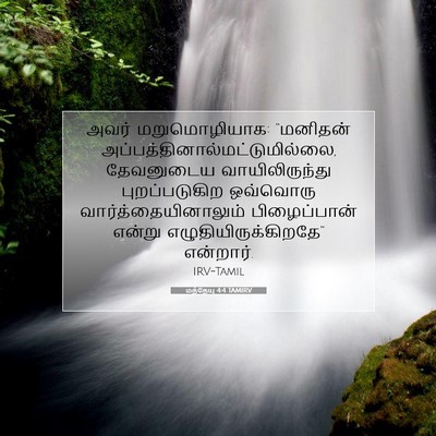 Picture 07 - மத்தேயு 4:4 TAMIRV - அவர் மறுமொழியாக: - Bible Verse Picture