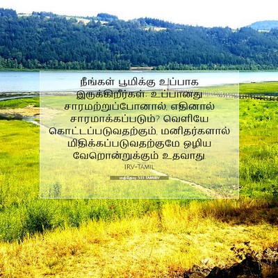 Picture 07 - மத்தேயு 5:13 TAMIRV - நீங்கள் பூமிக்கு - Bible Verse Picture