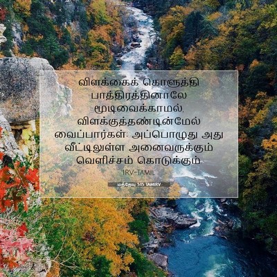 Picture 07 - மத்தேயு 5:15 TAMIRV - விளக்கைக் - Bible Verse Picture