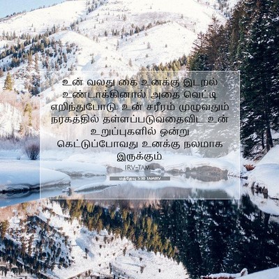 Picture 07 - மத்தேயு 5:30 TAMIRV - உன் வலது கை உனக்கு - Bible Verse Picture