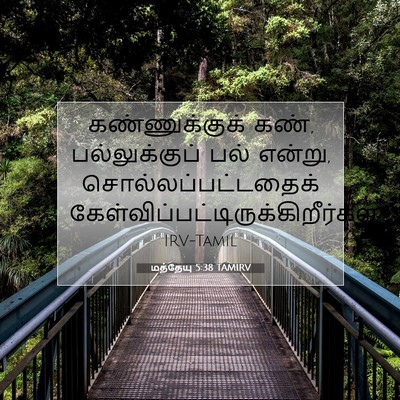 Picture 07 - மத்தேயு 5:38 TAMIRV - கண்ணுக்குக் கண், - Bible Verse Picture