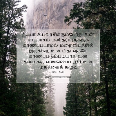 Picture 07 - மத்தேயு 6:17 TAMIRV - நீயோ - Bible Verse Picture