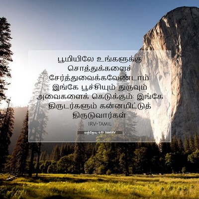 Picture 07 - மத்தேயு 6:19 TAMIRV - பூமியிலே - Bible Verse Picture