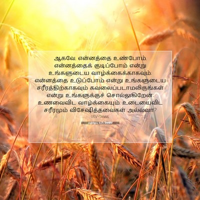 Picture 07 - மத்தேயு 6:25 TAMIRV - ஆகவே, என்னத்தை - Bible Verse Picture