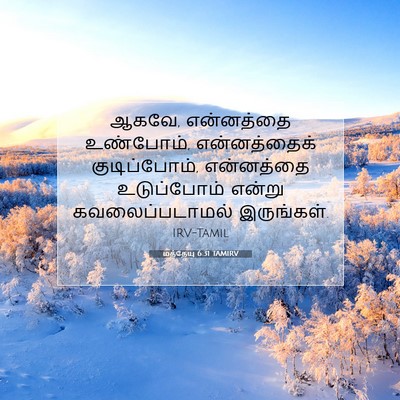 Picture 07 - மத்தேயு 6:31 TAMIRV - ஆகவே, என்னத்தை - Bible Verse Picture