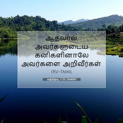 Picture 07 - மத்தேயு 7:20 TAMIRV - ஆதலால், - Bible Verse Picture