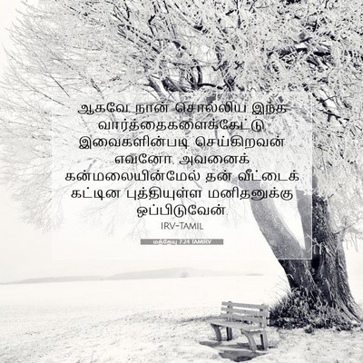 Picture 07 - மத்தேயு 7:24 TAMIRV - ஆகவே, நான் சொல்லிய - Bible Verse Picture