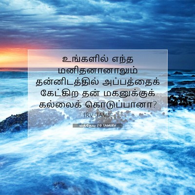 Picture 07 - மத்தேயு 7:9 TAMIRV - உங்களில் எந்த - Bible Verse Picture