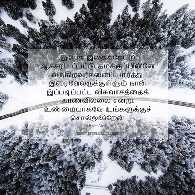 Picture 07 - மத்தேயு 8:10 TAMIRV - இயேசு இதைக்கேட்டு - Bible Verse Picture