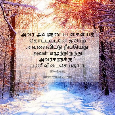 Picture 07 - மத்தேயு 8:15 TAMIRV - அவர் அவளுடைய - Bible Verse Picture