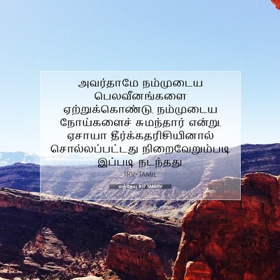 Picture 07 - மத்தேயு 8:17 TAMIRV - அவர்தாமே நம்முடைய - Bible Verse Picture