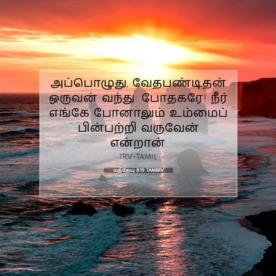 Picture 07 - மத்தேயு 8:19 TAMIRV - அப்பொழுது, - Bible Verse Picture