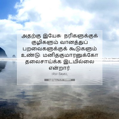 Picture 07 - மத்தேயு 8:20 TAMIRV - அதற்கு இயேசு: - Bible Verse Picture