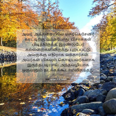 Picture 07 - மத்தேயு 8:28 TAMIRV - அவர் அக்கரையிலே - Bible Verse Picture