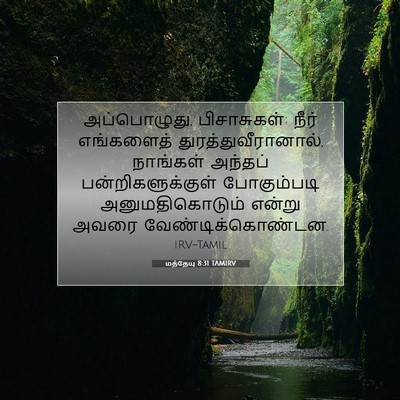 Picture 07 - மத்தேயு 8:31 TAMIRV - அப்பொழுது, - Bible Verse Picture