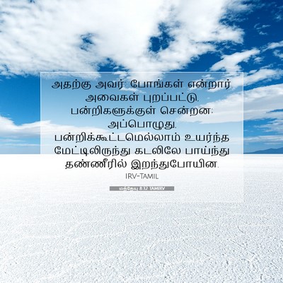Picture 07 - மத்தேயு 8:32 TAMIRV - அதற்கு அவர்: - Bible Verse Picture